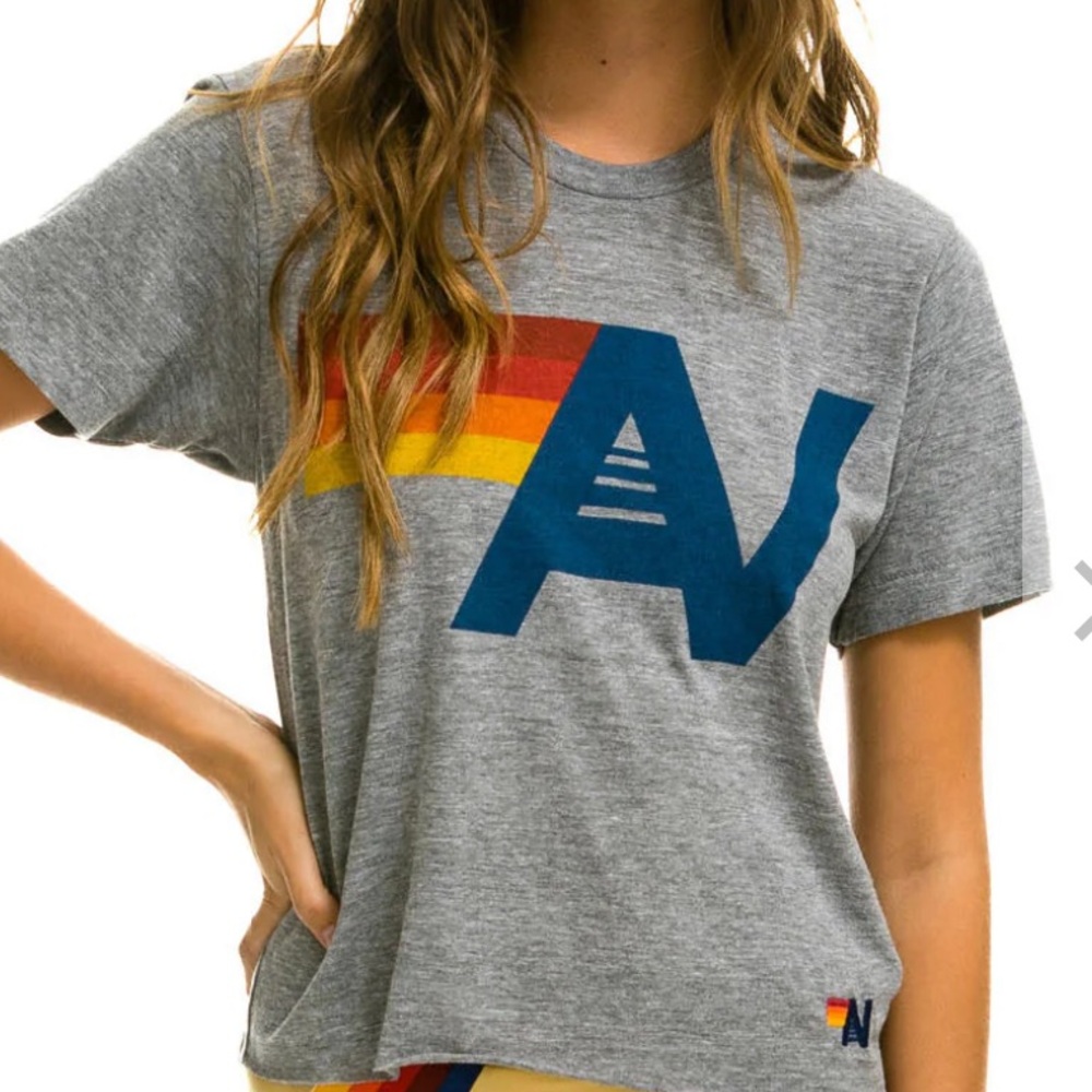Aviator Nation Logo Boyfriend Tee Heather Gray in XS